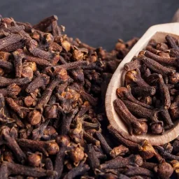 Ekstrak cengkeh - bahan alami Versident